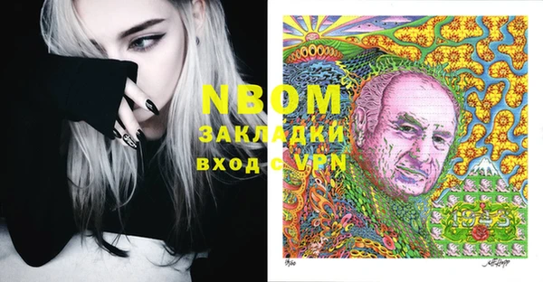 прущие грибы Белокуриха
