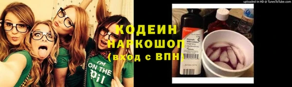 прущие грибы Белокуриха