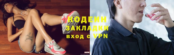 спиды Богданович