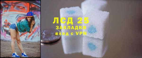 дживик Богородицк