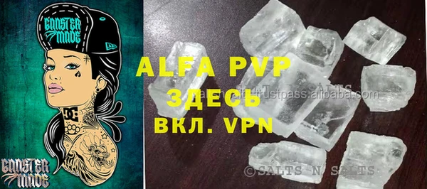 спиды Богданович