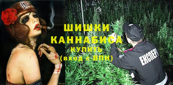 прущие грибы Белокуриха