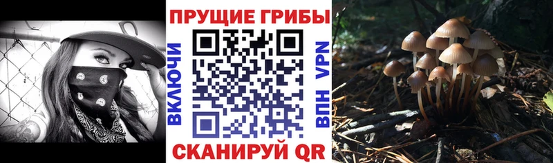 Псилоцибиновые грибы Magic Shrooms  наркотики  Боготол 